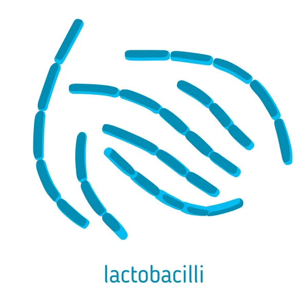 Vektorová ilustrace Lactobacilli — Stockový vektor