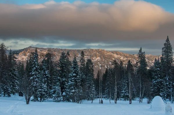 夜明けに山で雪に覆われた森 冬の風景 — ストック写真