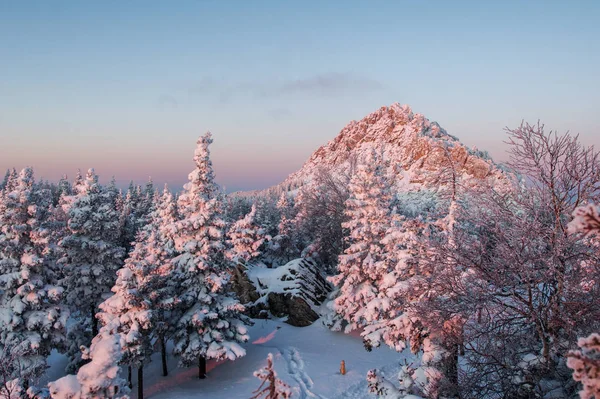 Floresta Coberta Neve Nas Montanhas Amanhecer Paisagem Inverno — Fotografia de Stock
