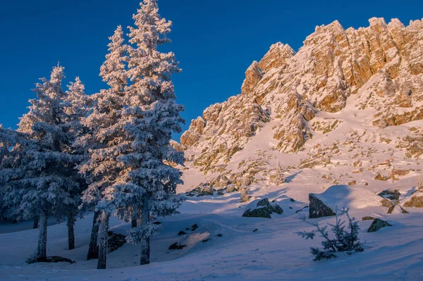 Snow Covered Forest Mountains Dawn Winter Landscape — Stock Photo, Image