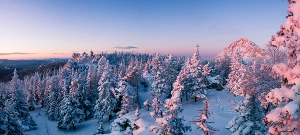 夜明けに山で雪に覆われた森 冬の風景 ストック写真
