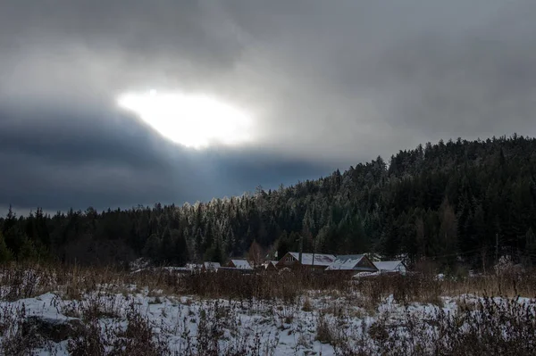 Los Rayos Del Sol Iluminan Las Cimas Los Pinos Través — Foto de Stock