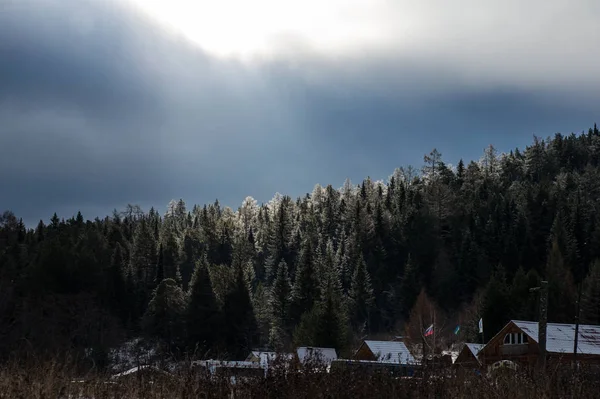 Los Rayos Del Sol Iluminan Las Cimas Los Pinos Través — Foto de Stock