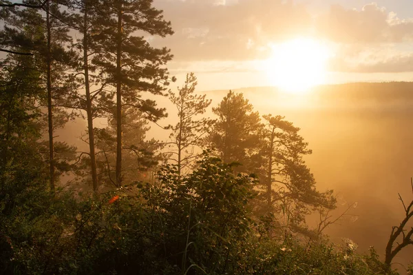 Morning Sun Breaking Fog Landscape Stock Image