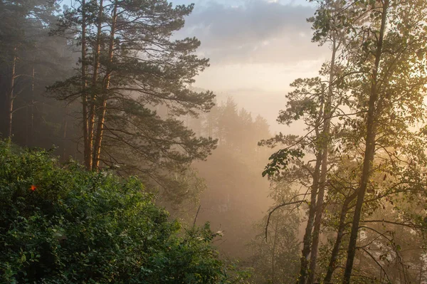 Утренний Туман Поднимается Над Речным Каньоном Пейзаж Стоковое Изображение