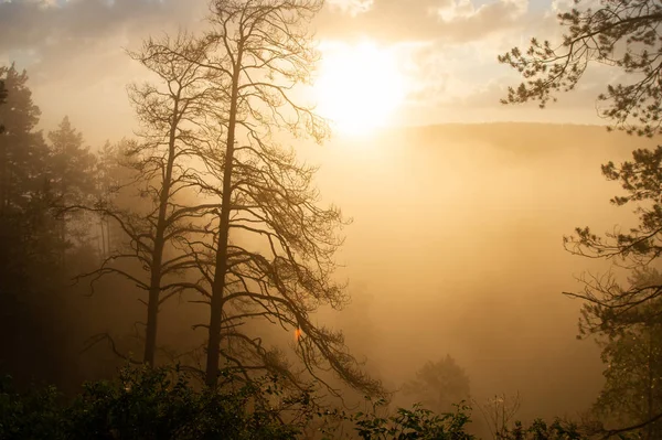 Sol Mañana Rompiendo Niebla Paisaje Fotos De Stock Sin Royalties Gratis