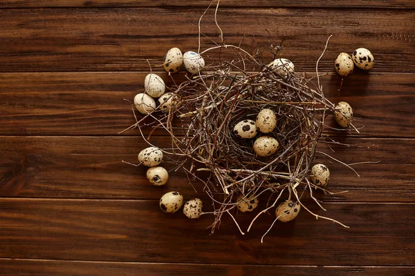 Quail eggs in a nest — Stock Photo, Image