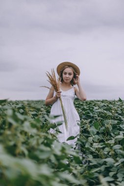 kurutulmuş otlar buketsarılma yeşil alanda beyaz elbise ve hasır şapka güzel genç kız