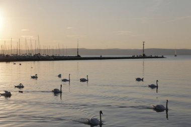 Balaton Gölü 'nde yüzüyor. Sıcak, sakin bir yaz günü. İnsanlar Breakwater 'da yürüyor. Masts ve dağlar arka planda görünür. Işığın yansıması, suyun yüzeyinde gökyüzü.