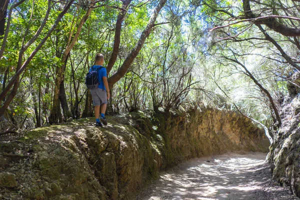 Teenager Unikátním Endemickým Horském Lese Tenerife — Stock fotografie