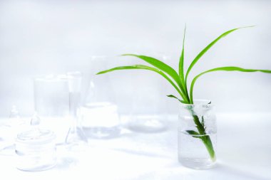 kimyasal bir kase yeşil filiz, kimyasalların bir arka plan karşı