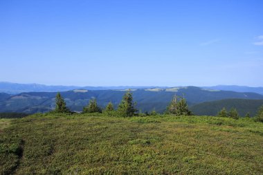 Karadağ sırtı, Hoverla Dağı yolunda