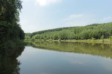 Ağaçların fotoğrafı ve göldeki yansımaları.