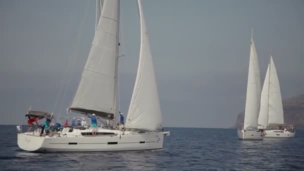 Start Des Wettbewerbs Der Segelregatta — Stockvideo