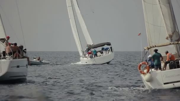 Vänden Deltagarna Segling Regatta — Stockvideo