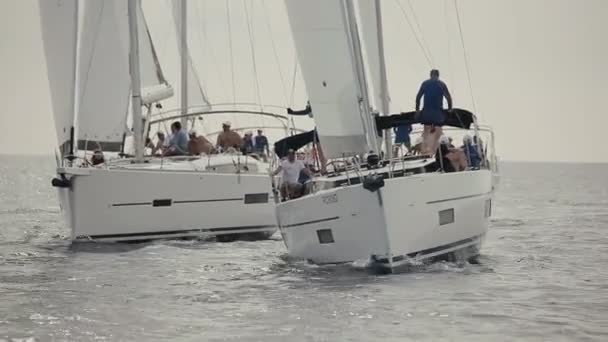 Zeilregatta Dichte Strijd Van Deelnemers — Stockvideo