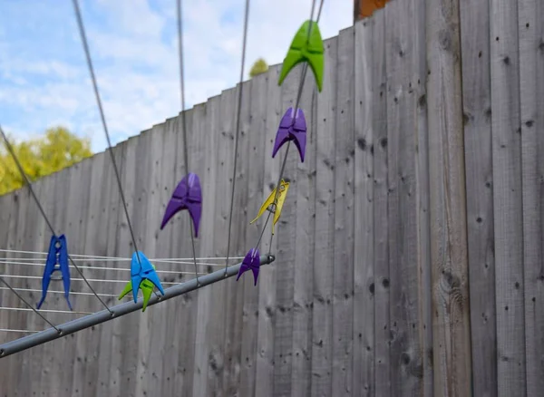 庭の洗濯ライン上のカラフルなペグ — ストック写真