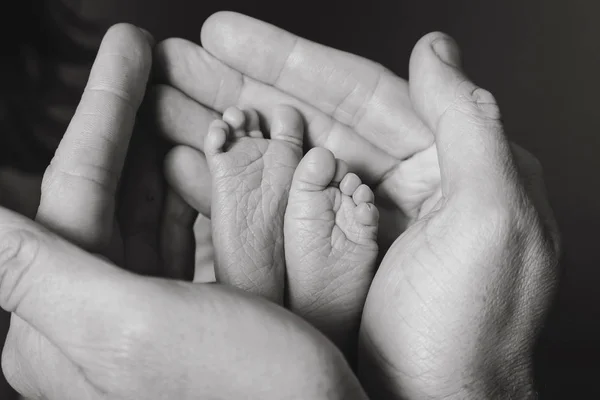 Рука Новорожденного Ребенка Родителями Руки Преждевременной Помощи Любовь Поддержку — стоковое фото