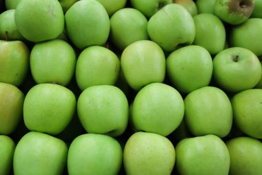 elma yaz yeşil meyve taze gıda sağlıklı tatlı