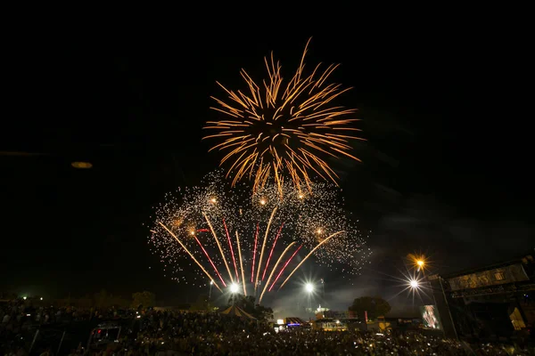 Pyrotechnics Fireworks Burst Color Sky Night — Stock Photo, Image