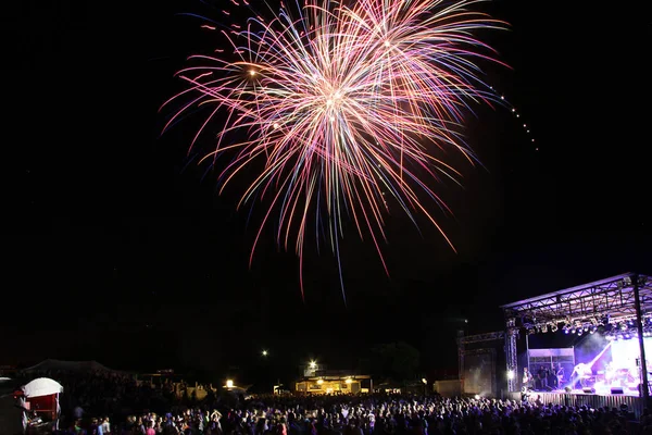 Pyrotechnics Fireworks Burst Color Sky Night — Stock Photo, Image