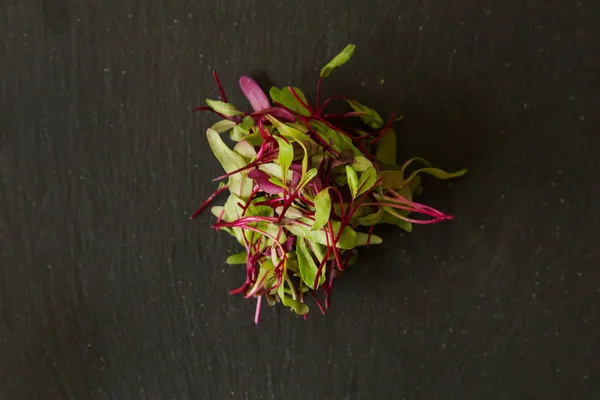 Micro Feuille Pourpre Délicat Mélange Betterave Carde Rouge Feuilles Moutarde — Photo