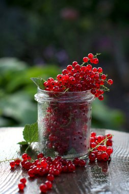 Su damlacıkları ile ahşap bir arka plan üzerinde yeşil yaprakları ile cam bir kavanozda kırmızı kuş üzümü