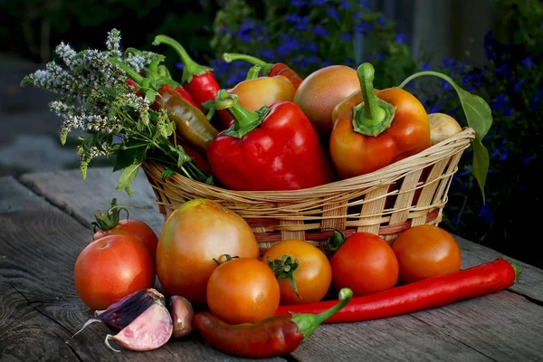 Panier Osier Avec Poivron Piment Tomate Oignon Ail Sur Fond — Photo