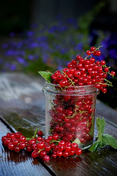 Red currants in a glass jar with green leaves on a wooden background with water droplets