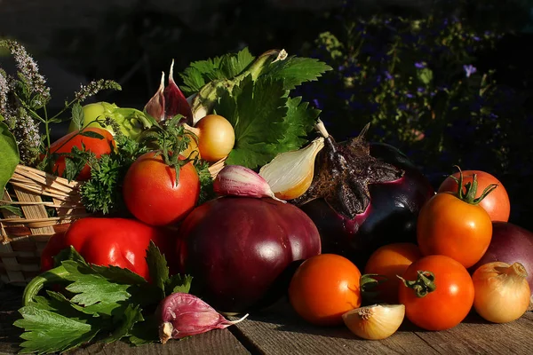 Corrediça Vegetal Cebolas Pimentas Alho Berinjela Tomates Sol — Fotografia de Stock