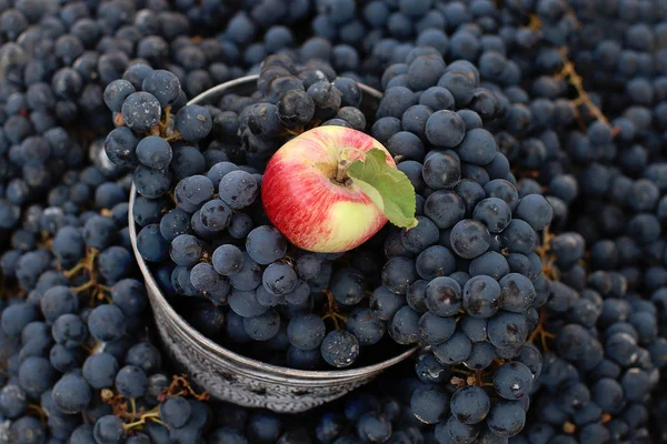 Crowded bucket with tech blue grapes and apples on wooden background