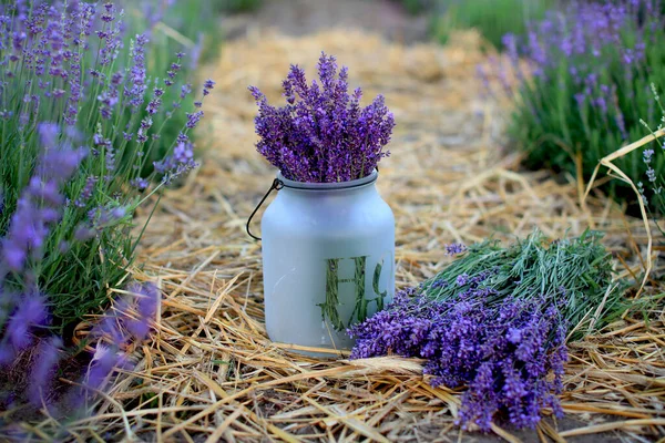 Ramo Lavanda Flor Frasco Esmerilado Con Inscripción Home Standing Aisles —  Fotos de Stock