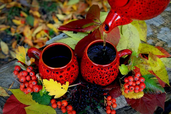 Parktaki ahşap bir bankta iki güzel kırmızı bardak ve çaydanlık renkli sonbahar yaprakları, kırmızı kızılcık böğürtlenleri ve siyah elderberry 'lerin arka planına karşı. Çaydanlıktan sıcak çay dökülüyor.