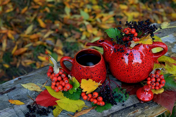 Durgun Hayat Kırmızı Seramik Parlak Çaydanlık Siyah Benekli Kırmızı Rowan — Stok fotoğraf