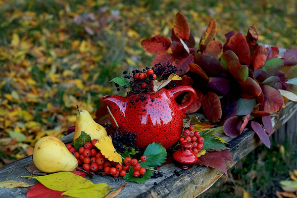 Martwa Natura Czerwony Ceramiczny Czajniczek Czarnymi Plamami Pęczkami Czerwonego Łabędzia — Zdjęcie stockowe