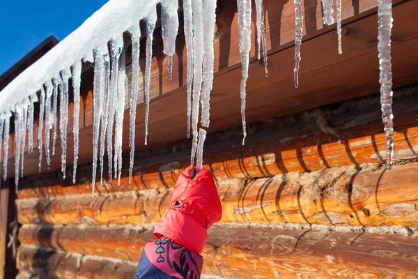 Woman\'s hand breaks icicle hanging from the roof of a wooden house. Winter