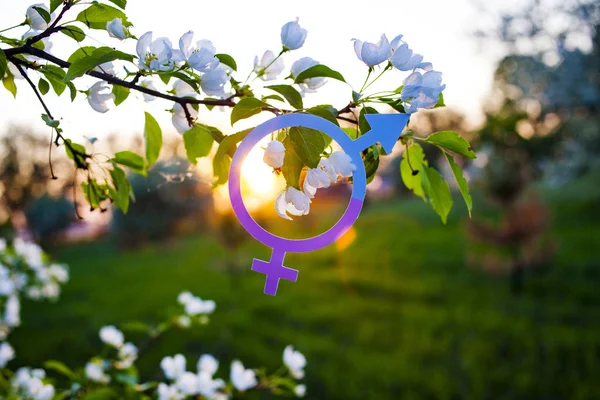 Symbol of gender equality. Man and woman. Beautiful sunset, blooming Apple trees.