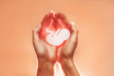 Beyaz kağıt embriyosu Afro-Amerikalı ya da Asyalı kadının ellerinde. Yumuşak odaklanma. Aşağıdan gelen ışıkla birlikte turuncu arkaplan. Hamilelik, doğum kontrol ve kürtaj..