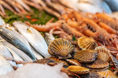 Buzun üzerinde, tezgahın üzerinde duran çeşitli taze balık ve deniz ürünleri. Kapat..