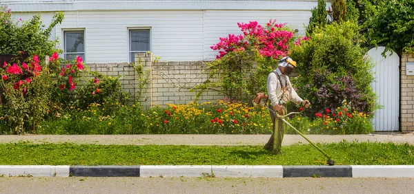 Jardinero Termina Cortar Cortador Césped Fondo Cerca Con Flores —  Fotos de Stock