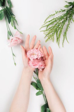 Hassas kadın elleri pembe bir Eustoma çiçeği tutar. Bitkilerle beyaz arka plan. Düz yatıyordu. Güzellik ve doğallık kavramı.