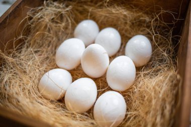 Eko-ürün. İçinde on beyaz yumurta bulunan ahşap bir kutu, güzelce düzenlenmiş. Yukarıdan manzara. Doğal ve çiftlik yemeği kavramı..