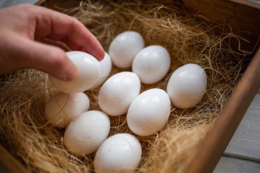 Eko-ürün. Dokuz beyaz yumurta içeren ahşap bir kutu ve bir erkek el yukarıdan onuncu yumurtayı bildiriyor. Yukarıdan bak. Doğal ve çiftlik yemeği kavramı..
