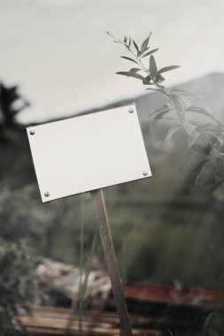 Ormanda ya da parkta boş bir tabela. Önleme ve uyarı işaretleri kavramı. Model yap ve uzayı kopyala. Siyah ve beyaz renkler.
