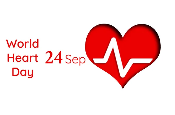 Ein Rotes Herz Mit Einem Kardiogramm Darauf Auf Weißem Hintergrund — Stockfoto