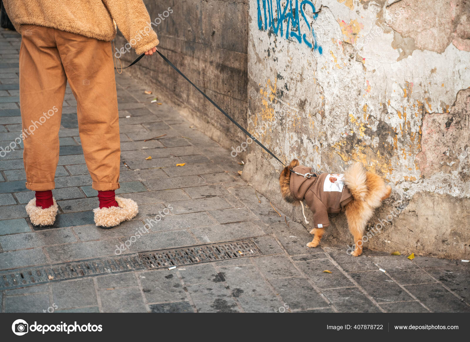 2019 Istanbul Turkey Owner Keeps Dog Leash Which Marks Territory ...