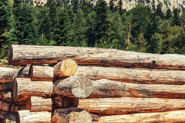 Houten Huis Gemaakt Van Houtblokken Beginfase Van Bouw Bos Achtergrond — Stockfoto