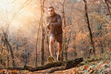 Spor anlayışı ve aktif yaşam tarzı. Sonbahar ormanında koşan genç bir adam. Kütüğün üzerinden atla.