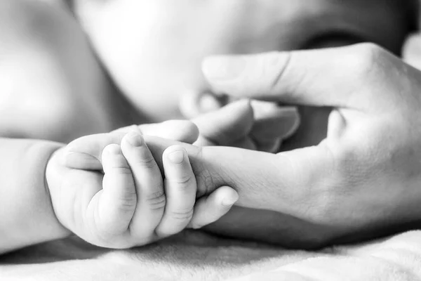 Baby Holding Mother Finger Hands Close Black White Photo Concept — Stock Photo, Image
