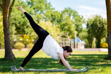 Yoga. Spor kıyafetli genç bir kadın köpek yüz üstü egzersiz yapıyor çimlerin üzerinde bir parkta nişanlanıyor. Sağlıklı bir yaşam tarzı için spor kavramı.